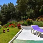 Krini مدينة سكياثوس