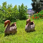 Krini مدينة سكياثوس
