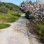 Krini شقة *