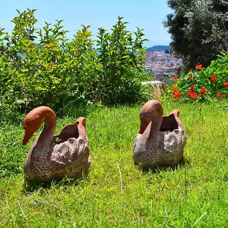 克里尼别墅旅馆 斯基亚索斯镇