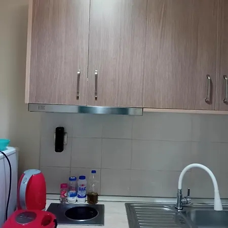 克里尼别墅旅馆 斯基亚索斯镇