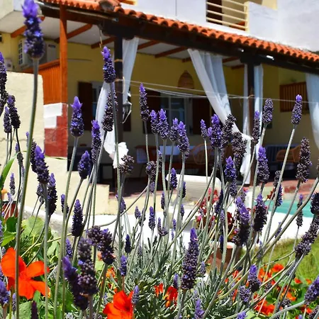 Krini Skiathos Town