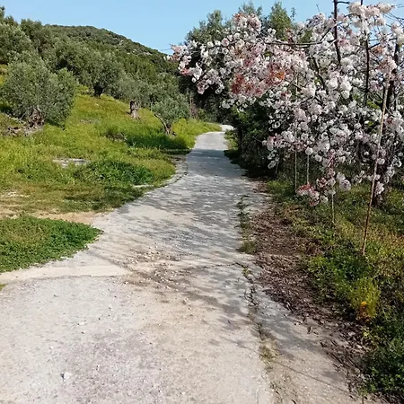 βίλλα κρίνη Διαμέρισμα *